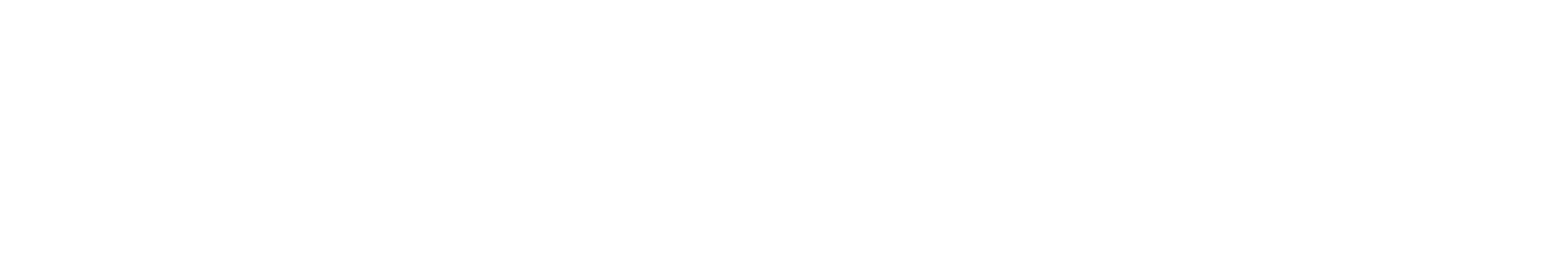 Storm Lacrosse